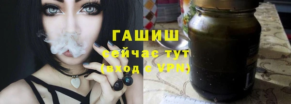 PSILOCYBIN Богородицк