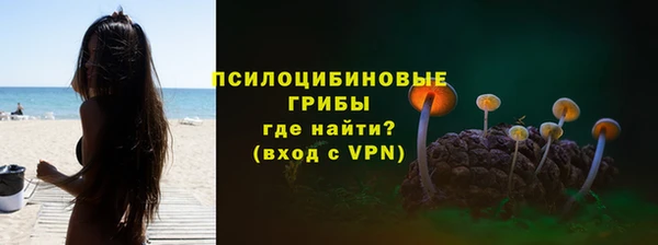 гашик Богородск
