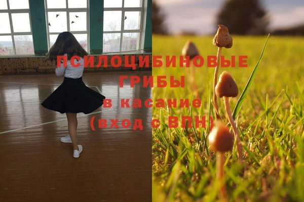 трава Богданович