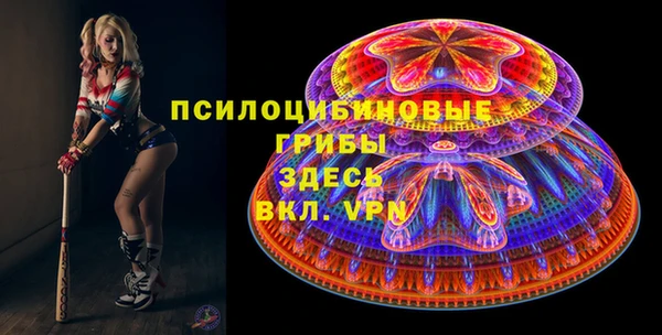 PSILOCYBIN Богородицк