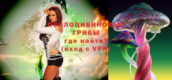 PSILOCYBIN Богородицк