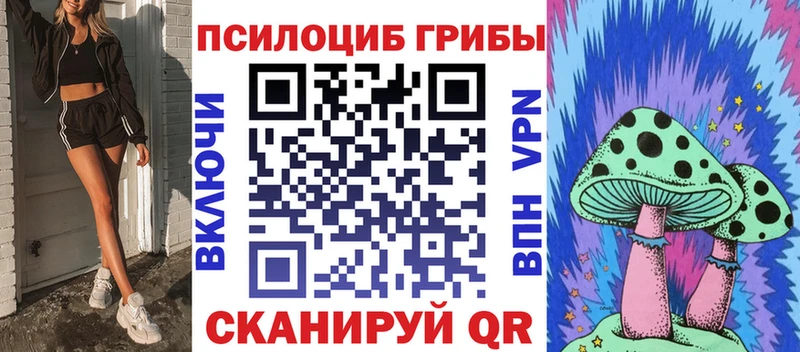 Псилоцибиновые грибы Psilocybine cubensis  Дрезна 
