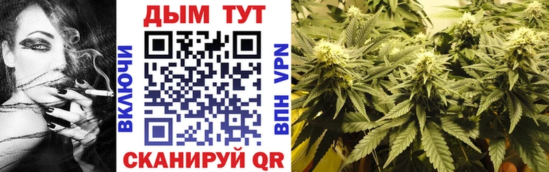 Конопля гибрид  Дрезна 